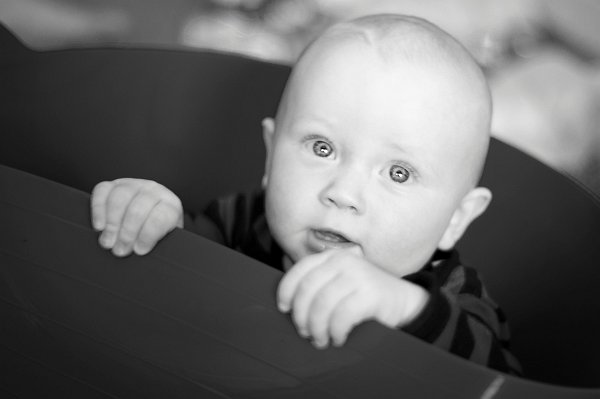 Gal_131805_0121 copy 2